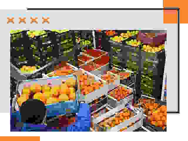 Перевозка скоропортящихся продуктов в Сосногорске